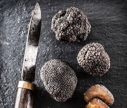 Truffes du piemont